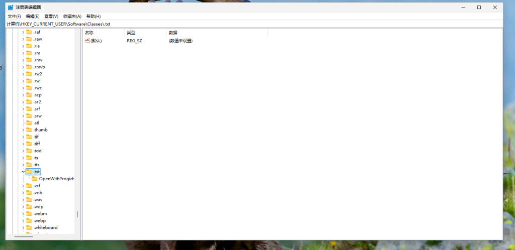 注册表编辑器 HKEY_CURRENT_USER\Software\Classes.txt，无 ShellNew 项