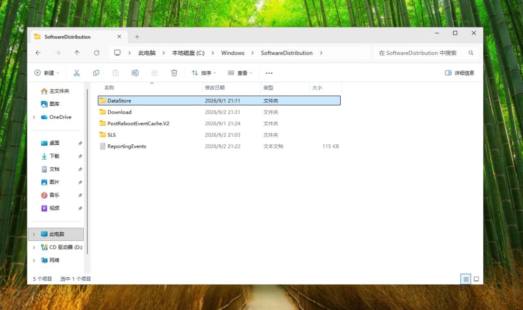 打开 C 盘 Windows 目录下 SoftwareDistribution 缓存文件夹