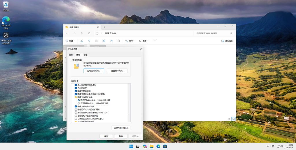 Win11 文件夹选项查看设置界面,取消勾选隐藏已知文件类型的扩展名