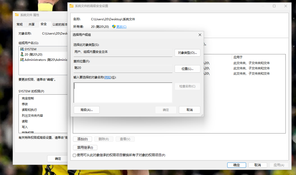 Win11 高级安全设置，点击更改所有者
