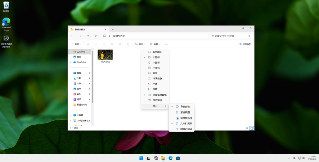 Win11 文件夹查看选项,勾选文件扩展名
